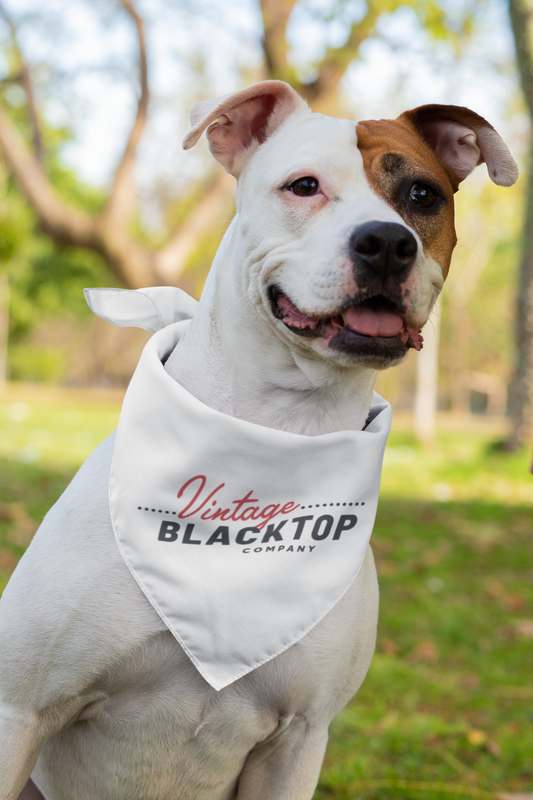 Vintage Logo Bandana