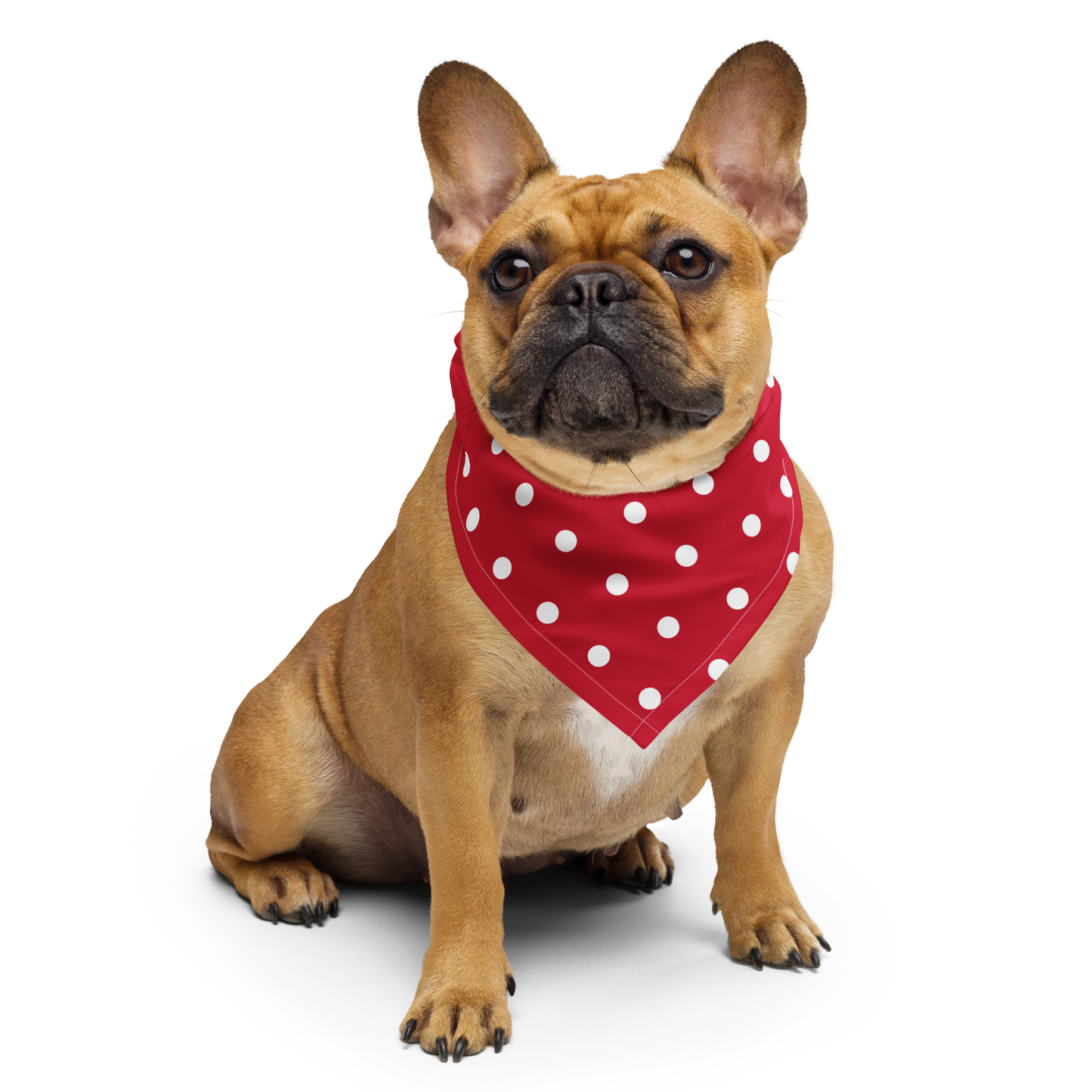 Rosie Bandana